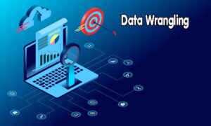 Data Wrangling