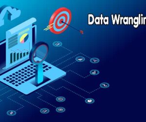 Data Wrangling